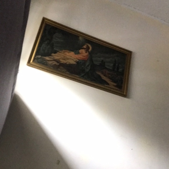 Meet your Posher, Benjamin - Picture 1 of 1